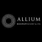 allium bodrum